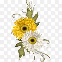 �ֻ����տ���֦-������