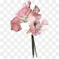 �ֻ滨��-������