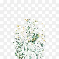 �ֻ滨��-������