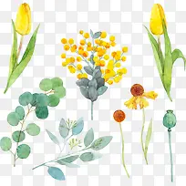 手绘水彩夏日植物-空若网 手绘水彩夏日植物-空若网