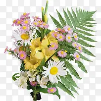 ���ܱ����ز��ֻ滨���ز�-������