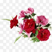 花草图案素材花草背景素材-空若网 花草图案素材花草背景素材-空若网