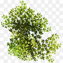 װ��ͼƬ�زĻ���ps�ز�-������