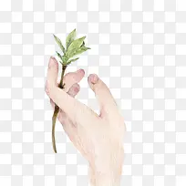 �廭��-������