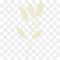 手绘植物-空若网 手绘植物-空若网