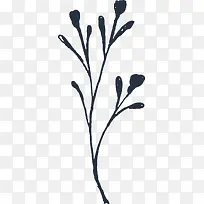 手绘植物-空若网 手绘植物-空若网