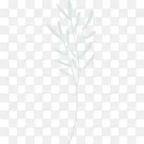 �ֻ�ֲ��-������