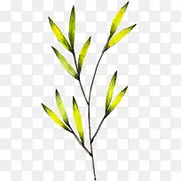 ˮ��ֲ��-������