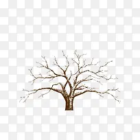 插画树-空若网 插画树-空若网