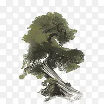 树-空若网 树-空若网