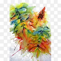 �ֻ�ֲ��-������