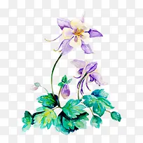 水彩风花朵-空若网 水彩风花朵-空若网