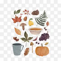 ˮ��ֲ��-������