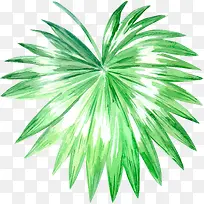 �ʻ�Ҷ��-������