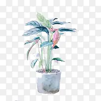 Ë®²ÊÖ²Îï-¿ÕÈôÍø Ë®²ÊÖ²Îï-¿ÕÈôÍø