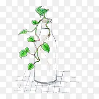 植物-空若网 植物-空若网