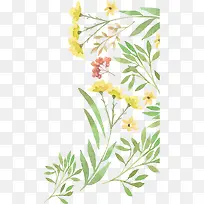 ˮ��ֲ��-������