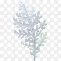 �ֻ�ֲ��Ҷ���ز�-������