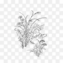 手绘秋草-空若网 手绘秋草-空若网