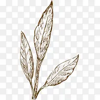 手绘叶子-空若网 手绘叶子-空若网