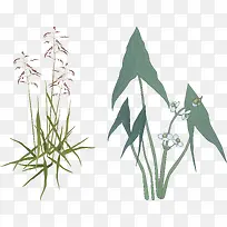 �ֻ滨��ֲ���й���ʸ��ͼ-������