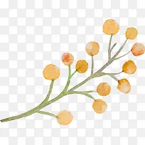 手绘植物-空若网 手绘植物-空若网