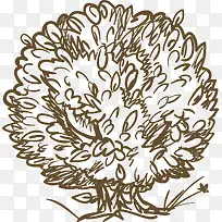 手绘植物树-空若网 手绘植物树-空若网