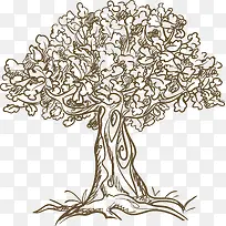 �ֻ�ֲ����-������