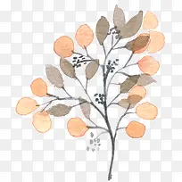 手绘植物-空若网 手绘植物-空若网