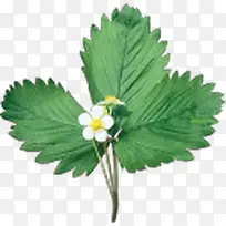 �ֻ滨��-������