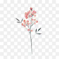 Ë®²ÊÖ²Îï-¿ÕÈôÍø Ë®²ÊÖ²Îï-¿ÕÈôÍø