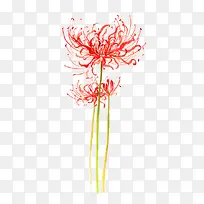 Ö²Îï-¿ÕÈôÍø Ö²Îï-¿ÕÈôÍø