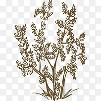 手绘植物树-空若网 手绘植物树-空若网