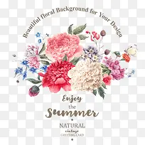 �ֻ�ֲ��-������