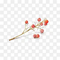 Ö²Îï-¿ÕÈôÍø Ö²Îï-¿ÕÈôÍø