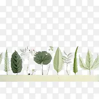 水彩手绘植物叶子-空若网 水彩手绘植物叶子-空若网