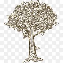 手绘植物树-空若网 手绘植物树-空若网