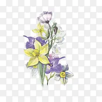 手绘水彩花卉-空若网 手绘水彩花卉-空若网