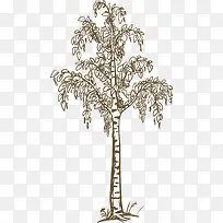 手绘植物树-空若网 手绘植物树-空若网