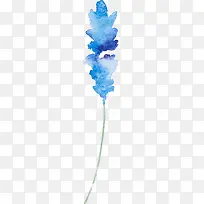 ˮ��ֲ��-������