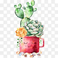 手绘水彩仙人掌多肉-空若网 手绘水彩仙人掌多肉-空若网
