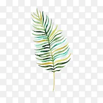 Ë®²ÊÊ÷Ò¶-¿ÕÈôÍø Ë®²ÊÊ÷Ò¶-¿ÕÈôÍø