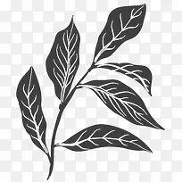 手绘植物图案-空若网 手绘植物图案-空若网