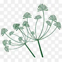 手绘植物草本-空若网 手绘植物草本-空若网