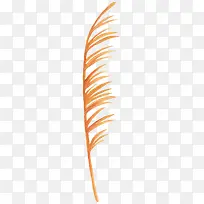 草植物水彩手绘植物-空若网 草植物水彩手绘植物-空若网