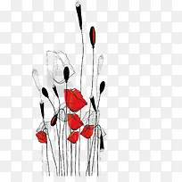 矢量线描手绘植物插画-空若网 矢量线描手绘植物插画-空若网