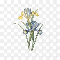 �ֻ滨��-������