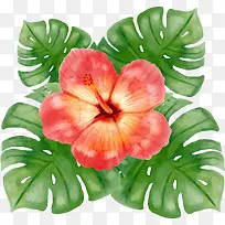 ºìɫˮ²Ê»¨¶ä-¿ÕÈôÍø ºìɫˮ²Ê»¨¶ä-¿ÕÈôÍø