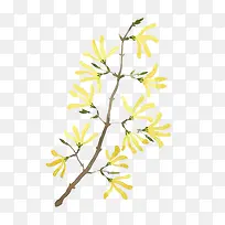 水彩黄色小花艺术图案-空若网 水彩黄色小花艺术图案-空若网