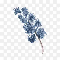 С����ˮ��ֲ�ﻨ��廭-������